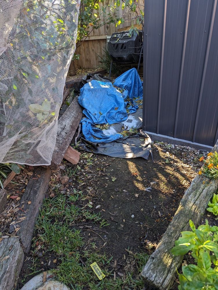 PXL_20240516_000056288.jpg PXL_20240516_000056288.jpg