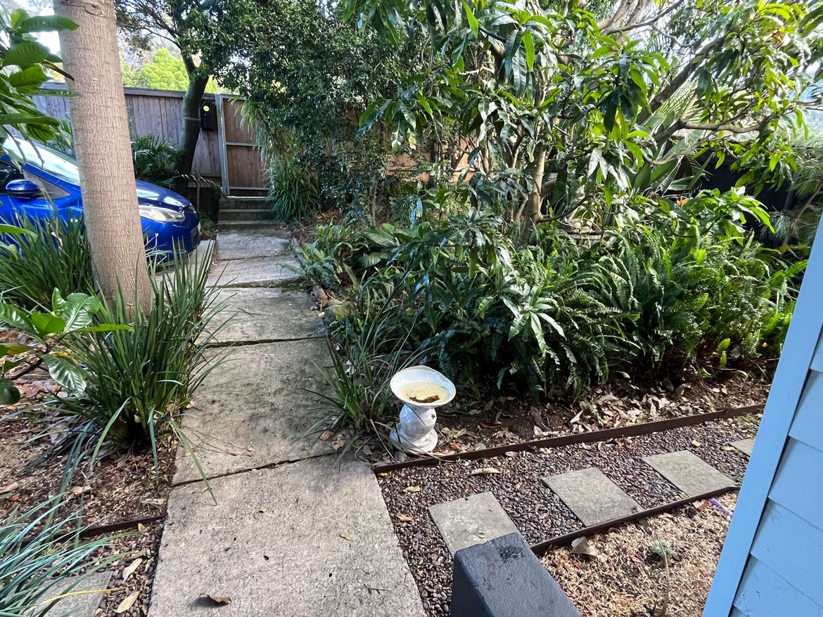 IMG_2494.jpeg IMG_2494.jpeg