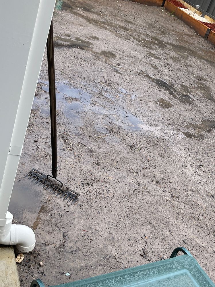 97A542BC-CC1C-46B6-B97A-DCF68B2A5248.jpeg 97A542BC-CC1C-46B6-B97A-DCF68B2A5248.jpeg