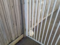 20230917_090119.jpg 20230917_090119.jpg