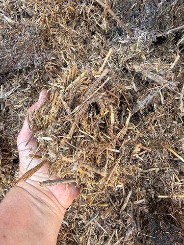 IMG_3316.jpeg IMG_3316.jpeg