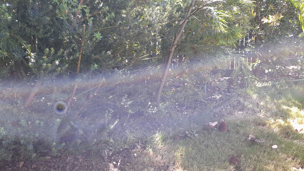 20260102_154525.jpg 20260102_154525.jpg