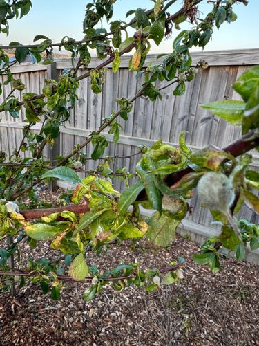 IMG_8833.jpeg IMG_8833.jpeg