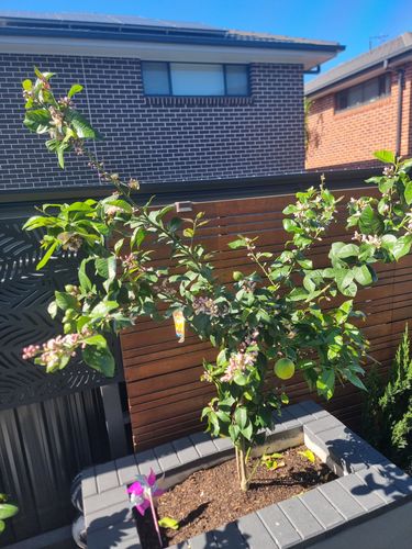 1000023590.jpg 1000023590.jpg