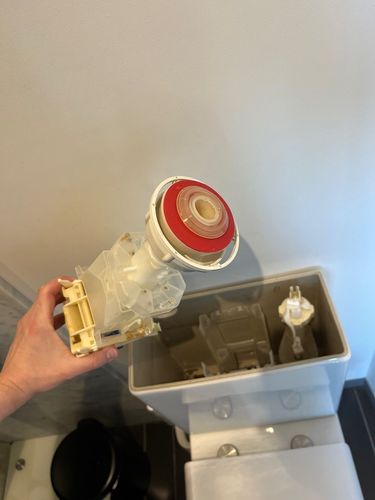 IMG_1719.jpeg IMG_1719.jpeg