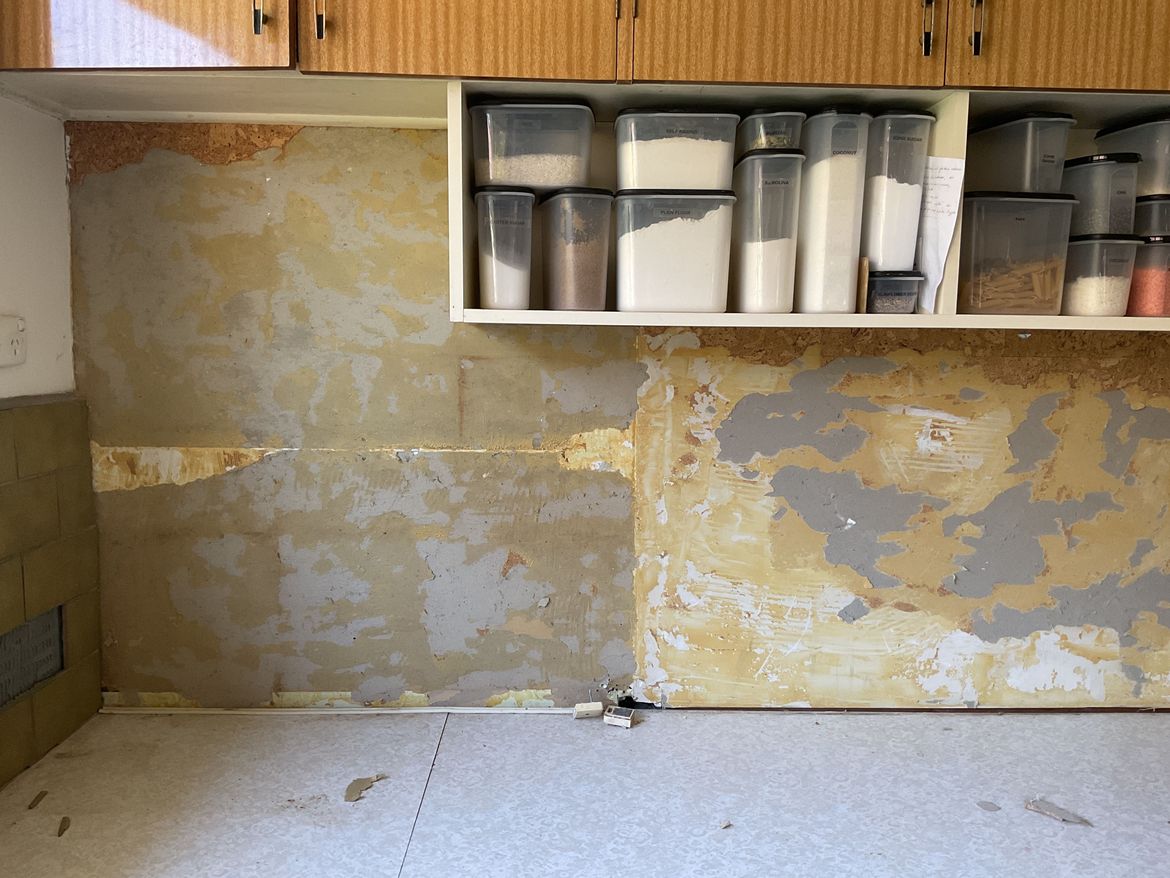 IMG_0145.jpeg IMG_0145.jpeg