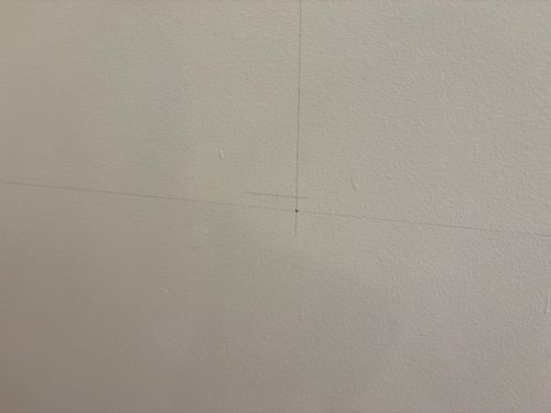 IMG_4163.jpeg IMG_4163.jpeg