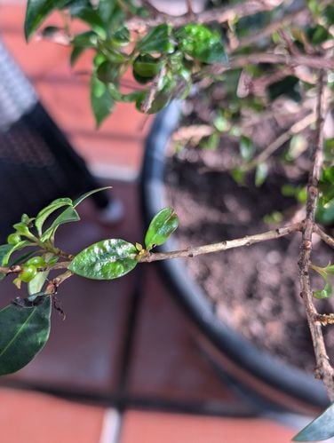 1000023964.jpg 1000023964.jpg