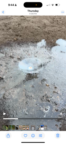 IMG_1577.png IMG_1577.png