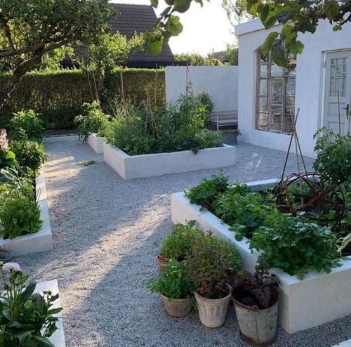 IMG_8019.jpeg IMG_8019.jpeg