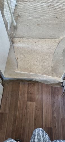 1000019048.jpg 1000019048.jpg