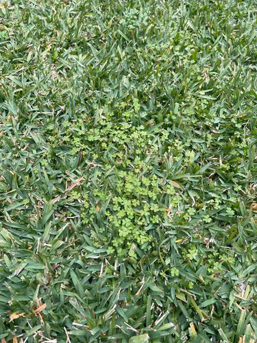 IMG_7227.jpeg IMG_7227.jpeg