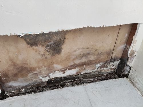 17593695481298177971206565274742.jpg 17593695481298177971206565274742.jpg