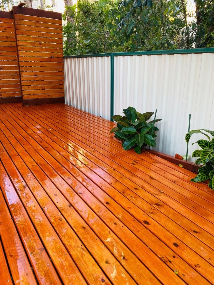 IMG_8907.jpeg IMG_8907.jpeg