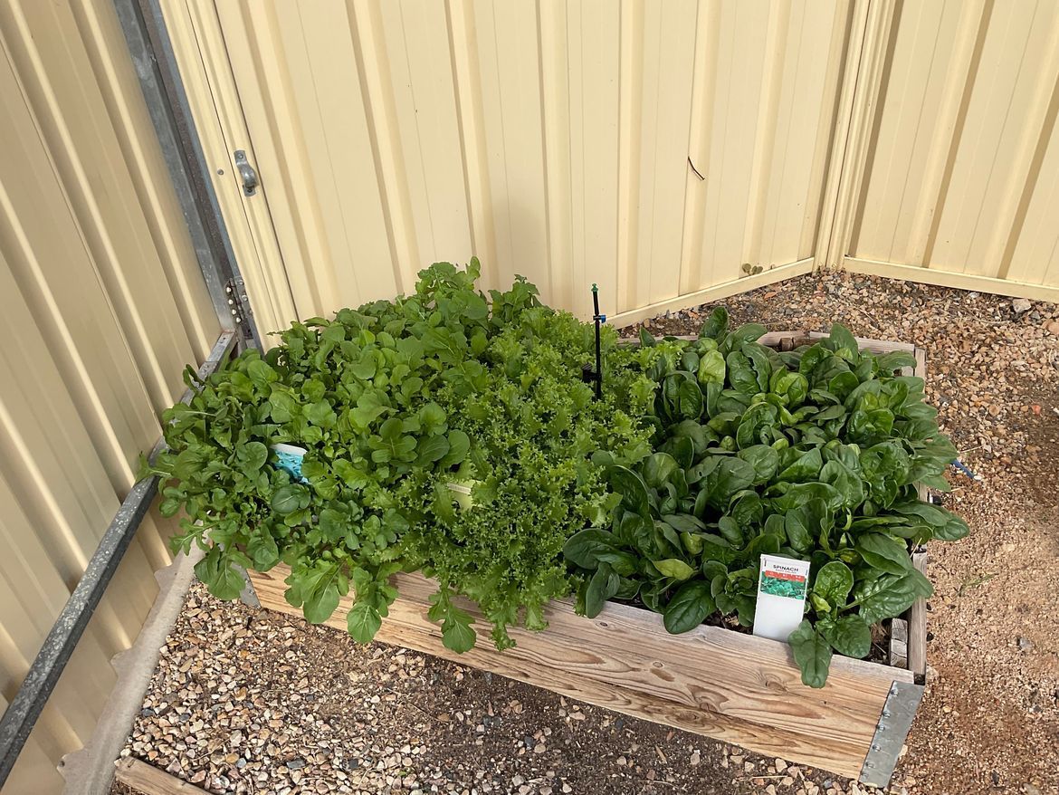 RobP_8-1723691863899.jpeg RobP_8-1723691863899.jpeg