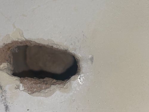 IMG_2576.jpeg IMG_2576.jpeg