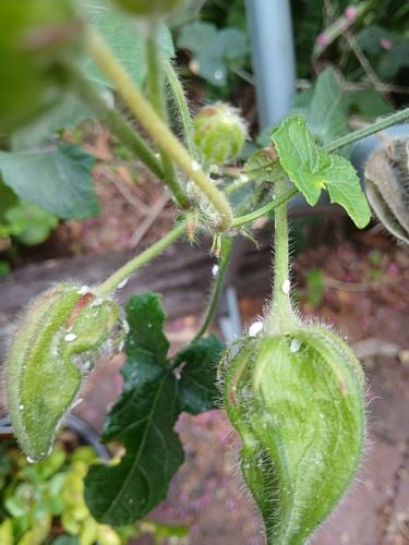 1000002282.jpg 1000002282.jpg