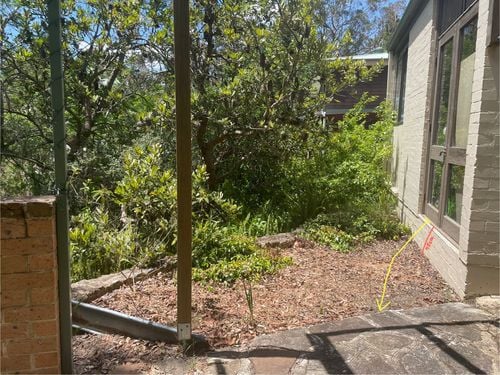 IMG_9134.jpeg IMG_9134.jpeg