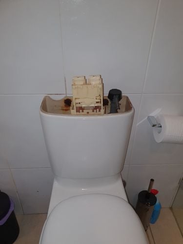 20211116_132442.jpg 20211116_132442.jpg