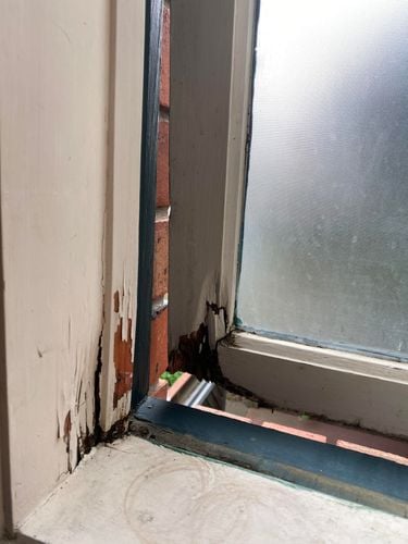 Bathroom window.jpg Bathroom window.jpg