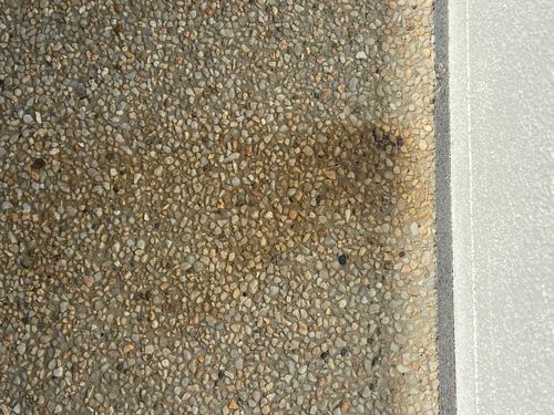 F77ECCA0-9B62-42D4-832F-CC0341B6127C.jpeg F77ECCA0-9B62-42D4-832F-CC0341B6127C.jpeg