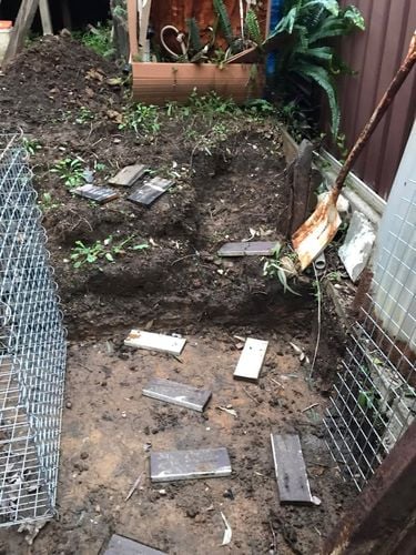 52 24-06-2024.jpg 52 24-06-2024.jpg