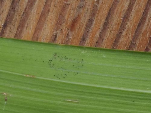 P1010189.jpg P1010189.jpg