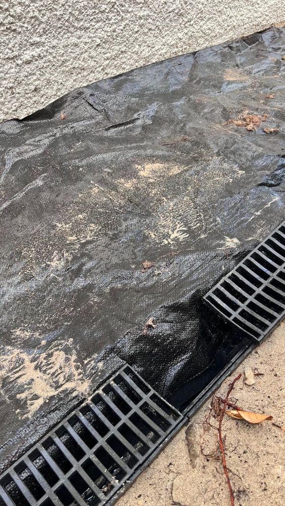 IMG_3981.jpg IMG_3981.jpg