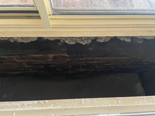 IMG_3112.jpeg IMG_3112.jpeg