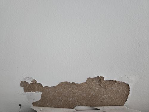 20230625_072742.jpg 20230625_072742.jpg