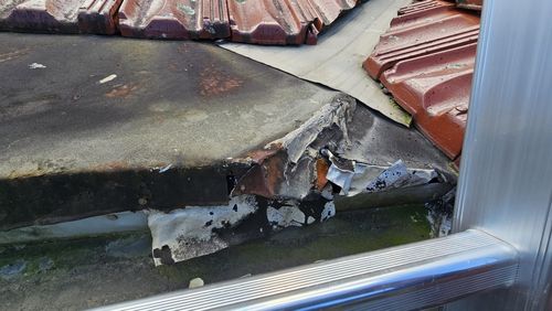 1000026104.jpg 1000026104.jpg