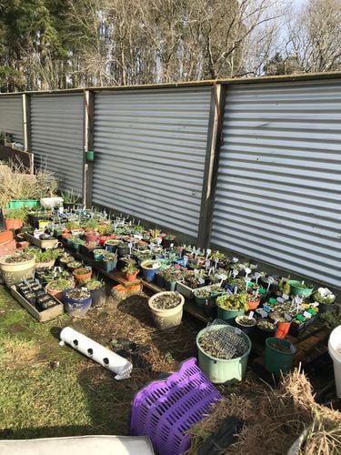 8099CB81-361C-41E8-8CFA-64F5B9872ADE.jpeg 8099CB81-361C-41E8-8CFA-64F5B9872ADE.jpeg