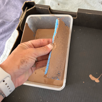 4.3 Paint applied to sponge.png 4.3 Paint applied to sponge.png