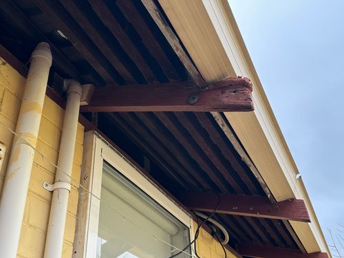 IMG_3586.jpeg IMG_3586.jpeg