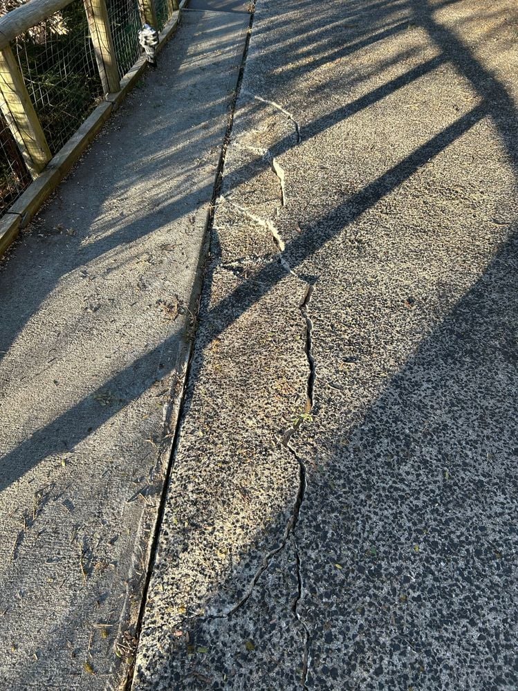 IMG_1116.jpg IMG_1116.jpg