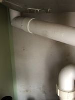 IMG_7728.JPG IMG_7728.JPG