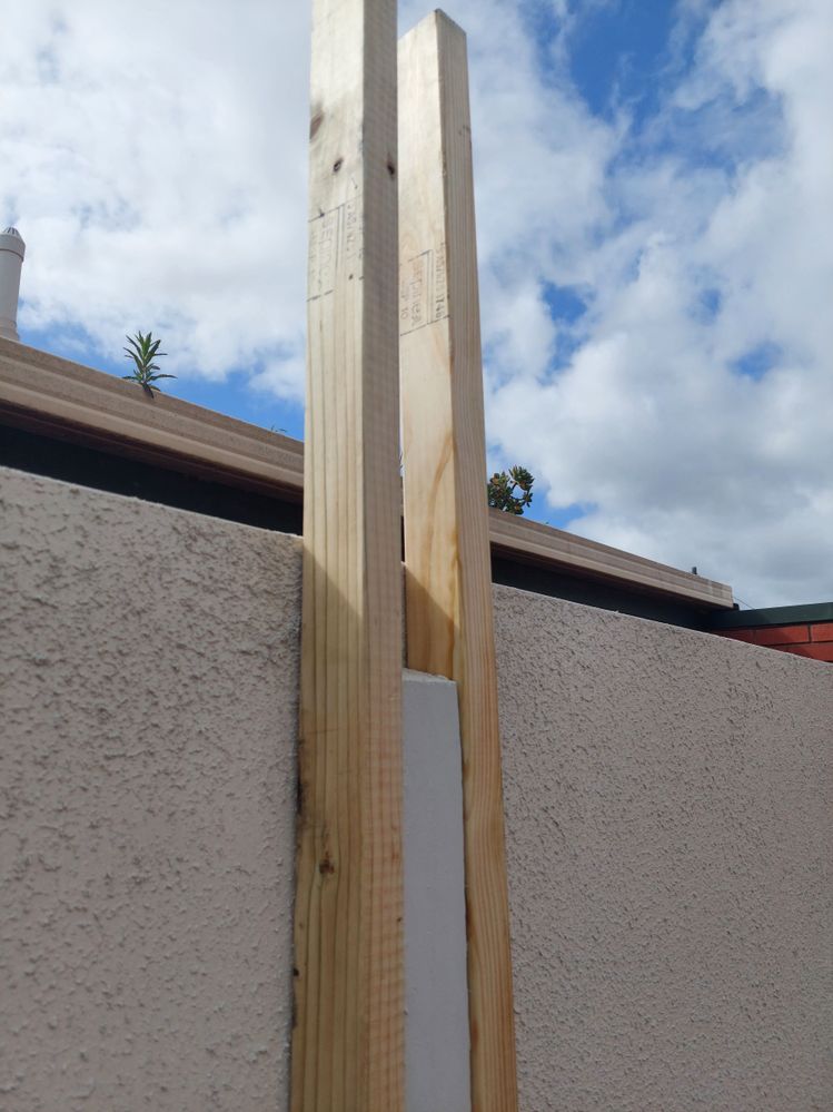 20230901_132446.jpg 20230901_132446.jpg