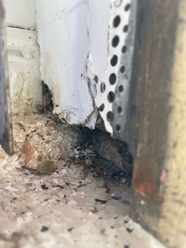 IMG_9289.jpeg IMG_9289.jpeg