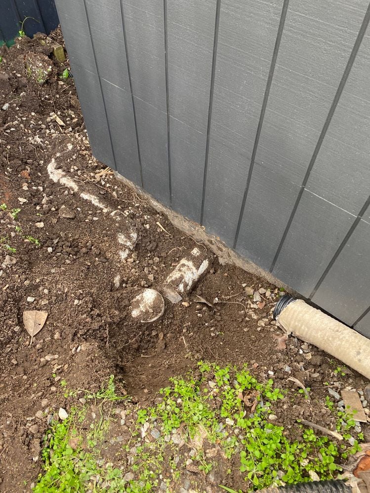 IMG_4690.jpeg IMG_4690.jpeg