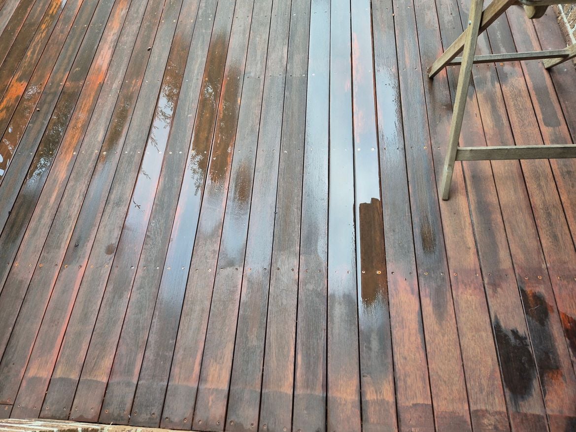 20250813_082838.jpg 20250813_082838.jpg