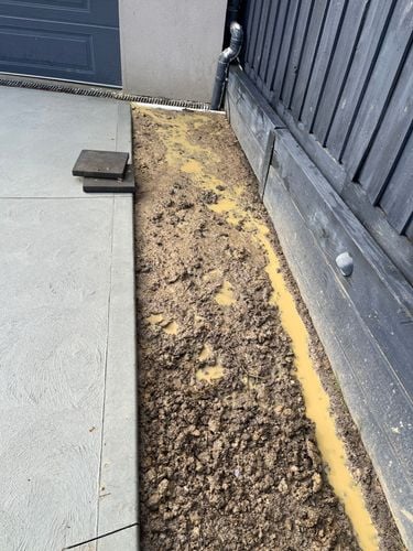 IMG_2380.JPG IMG_2380.JPG