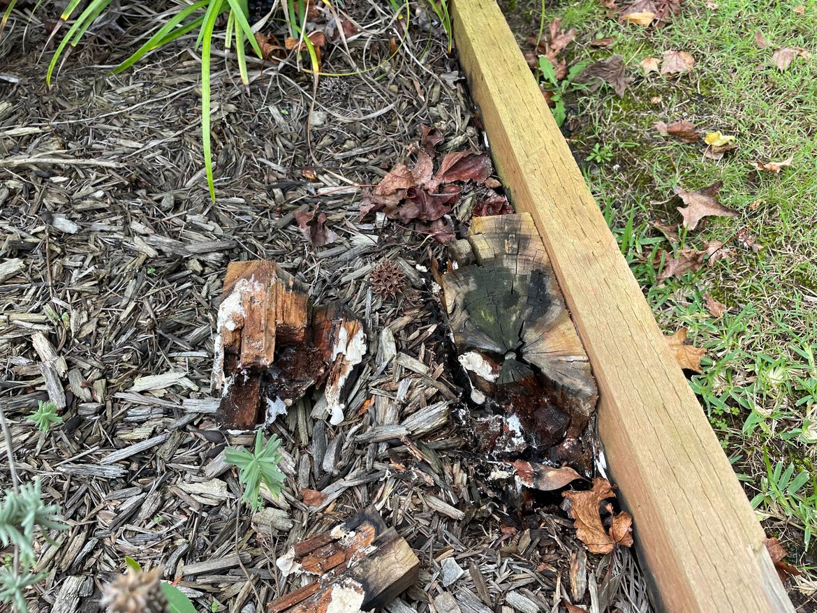 IMG_2924.jpeg IMG_2924.jpeg