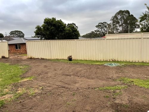 IMG_5431.jpeg IMG_5431.jpeg