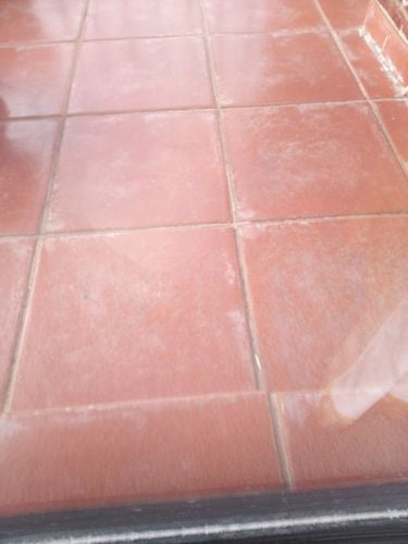 IMG_20250723_153141_180.jpg IMG_20250723_153141_180.jpg