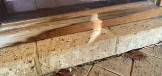 IMG_0633.jpeg IMG_0633.jpeg