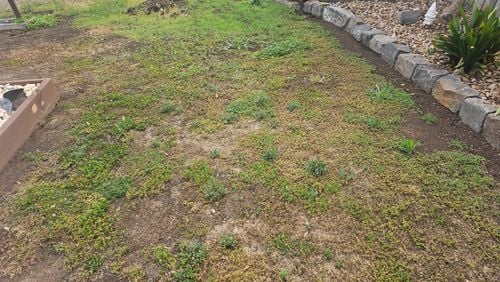 1000011490.jpg 1000011490.jpg