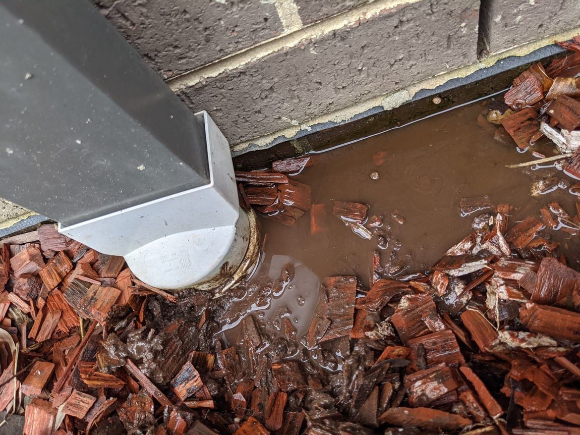 PXL_20211002_044234947.MP.jpg PXL_20211002_044234947.MP.jpg