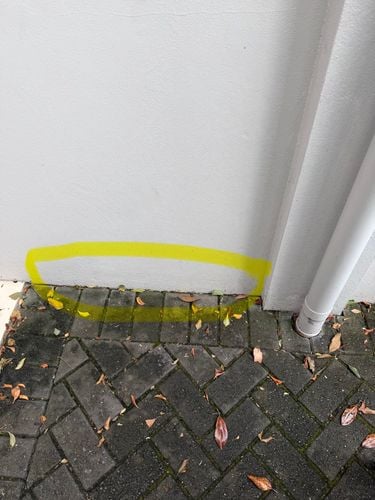 IMG_3687.jpeg IMG_3687.jpeg