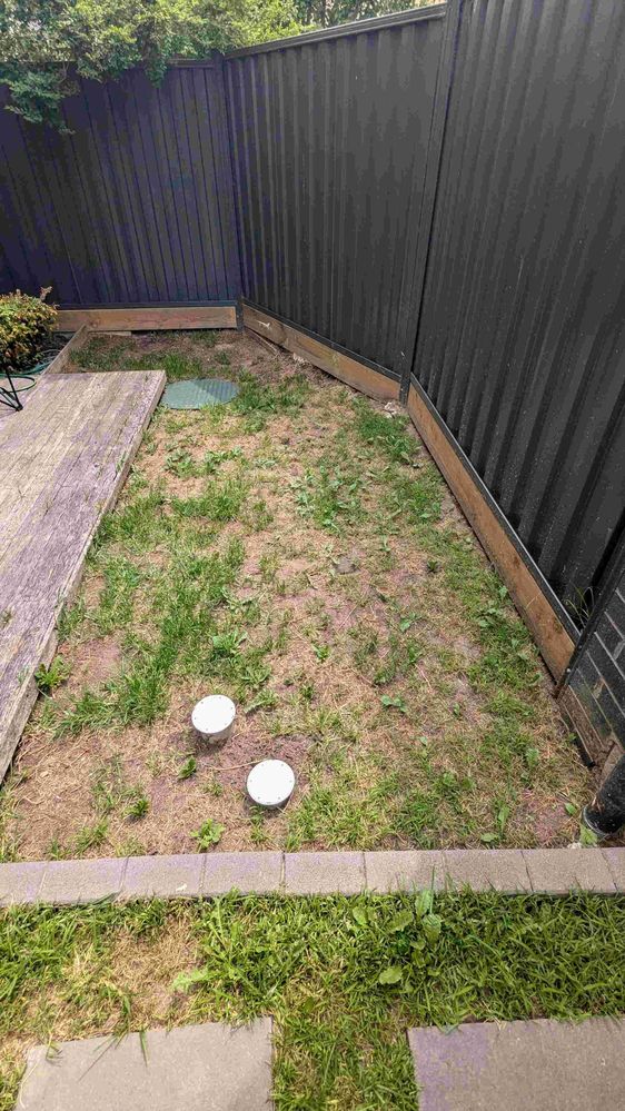 PXL_20241206_033201843.jpg PXL_20241206_033201843.jpg