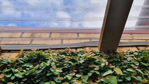 20221207_100551.jpg 20221207_100551.jpg